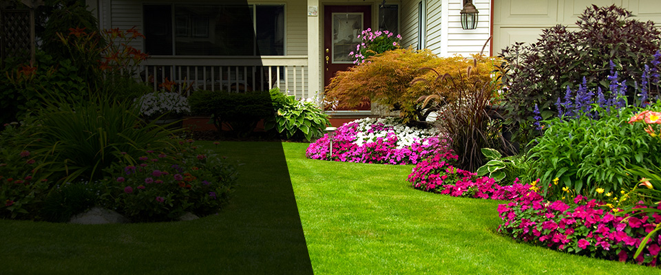 Medford Landscapers